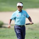 버디텔레콤 이미지