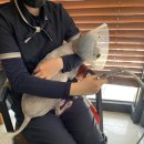 바로외과동물병원 이미지