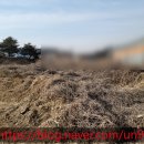 썬공인중개사합동사무소 이미지