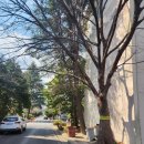 스카이푸르지오공인중개사사무소 이미지