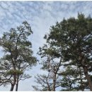 믿음주는행정사 이미지