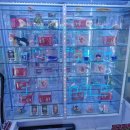 인형뽑기샵 이미지