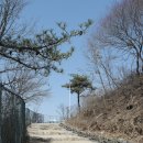 전계심의 묘비 이미지