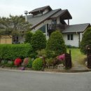 삼성전원 이미지