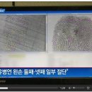 [충격세월호] 채널A 유언비어 조사 대상??? 이미지