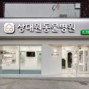 신규동물병원 이미지