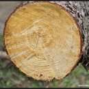 명암약수터 이미지