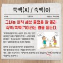 쑥맥 - 중랑구 봉우재로33길 35 | 쑥맥