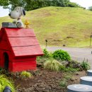 스누피 애견 이미지