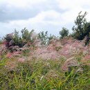 상모리-10 이미지