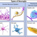 메디포레스트 필라테스 이미지