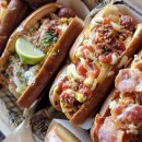 LaLa DOG 이미지