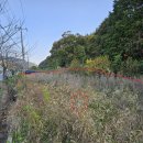 함평터미널 공인중개사사무소 이미지