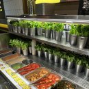 [외부]서각 | 중국 톈진 맛집 연길조선족에서 삼겹살, 로마 카톨릭 성당 시카이 성당 후기ㅣ톈진 2박 3일 여행 1일차