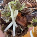 24시경희궁 이미지