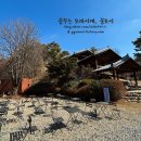 코유(coyu)