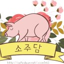 [단독] 현아 새 타이틀곡은 '베베'…신사동호랭이X범이낭이 뭉쳤다 이미지