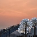 금강행정사 사무소 이미지