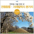 서재필박사 본가지 이미지