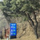 안다랜드 | 에버랜드 워킹사파리 주토피아 동선 세돌 전 아기 평일 방문 주차 후기