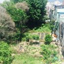 성남초등학교 옆 이미지