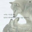 이쁜늑대
