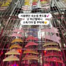 무결점 속눈썹 | 익산 중앙동 속눈썹펌 여름휴가 전 받으면 후회 없는 이유 5가지