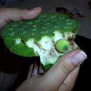 경희연한의원 이미지