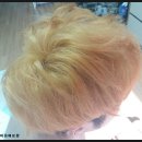 세화미용