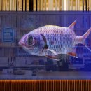 실미해수욕장-해변 이미지