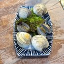 두꺼비 | 양산 범어 횟집 추천 고등어회 대방어 후기 두꺼비 횟집