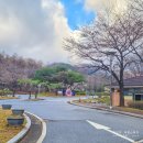 연인산캠핑장 다목적운동장 | 춘천 캠핑장 추천, 연인산다목적캠핑장 야영장·캐빈하우스 리뷰