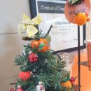 지영상회 이미지