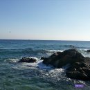 씨워드하우스 이미지