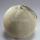 멜론 (melon Cucumis melo) 이미지