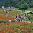 추석맞이 한가위 버스킹 이미지