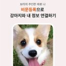 펫나우 이미지