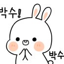 아날로그데이 이미지