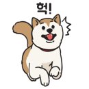 마이펫가든 이미지