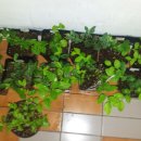 형수농장 이미지