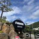 홍천감성공간 | 홍천 숙소 추천 | 무료 자쿠지 감성 펜션 플라네르 내돈내산 솔직 후기