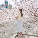 이십삼점오