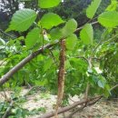 서후리 산촌생태마을 이미지