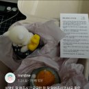 슈네캔들