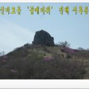 꽃곱다and경남MTB | 신비로운 '곰메바위' 우뚝 선 진해 시루봉