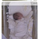 라엘르마곡 산후조리원 주식회사 | 라엘르 산후조리원 클래식룸 후기