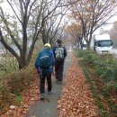 달성보 녹색길 이미지