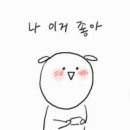 쇼핑초이스 이미지