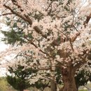 바우길 14구간 이미지