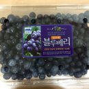 깊은샘블루베리농장 이미지